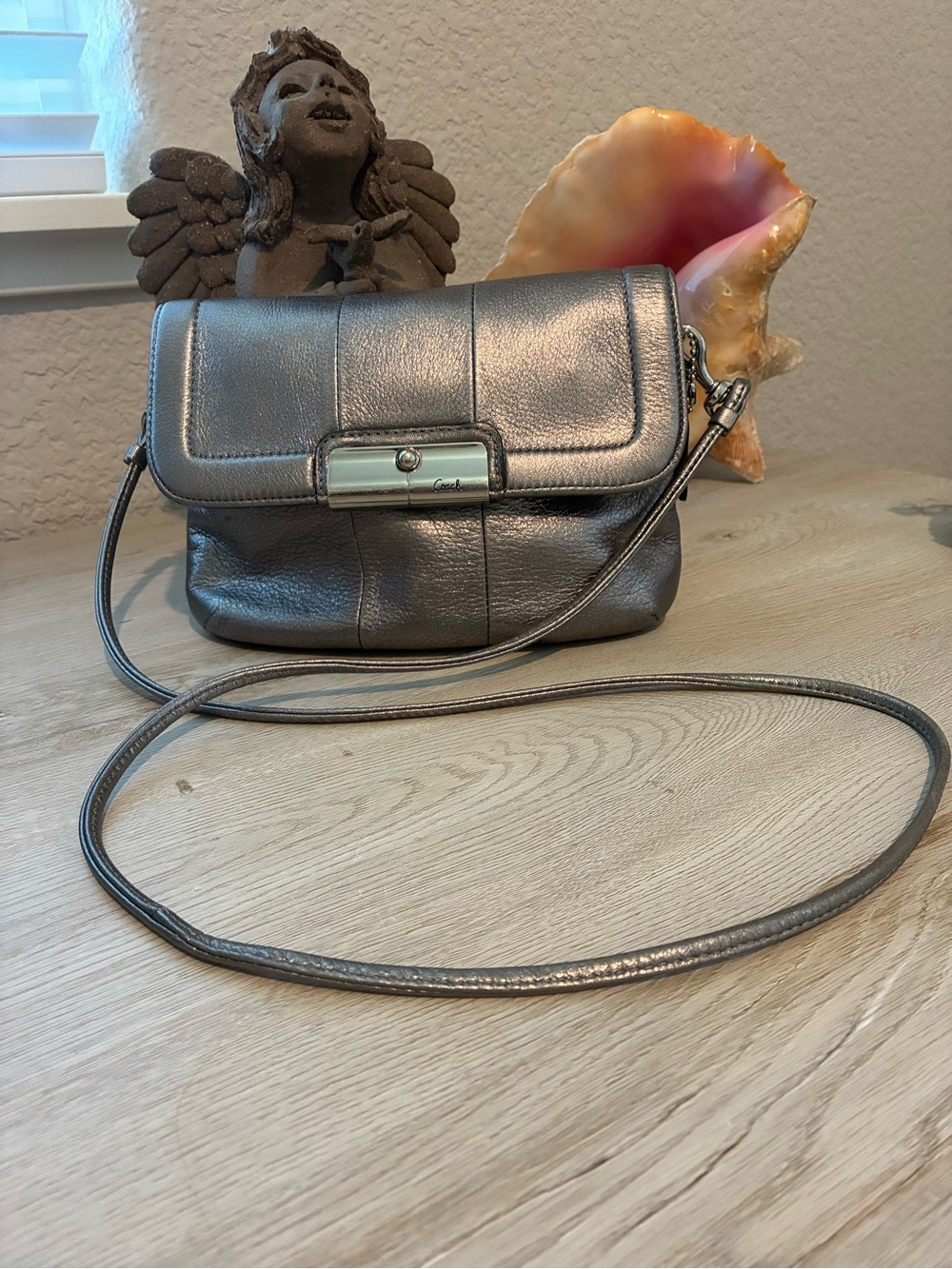 Coach Metallic Pewter Leather Crossbody Bag